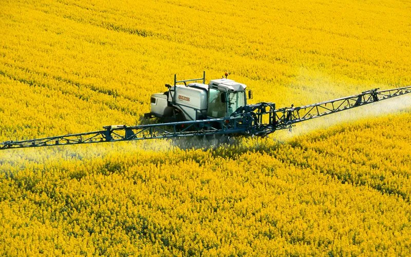Sprayer applying crop protection products in a rapeseed field