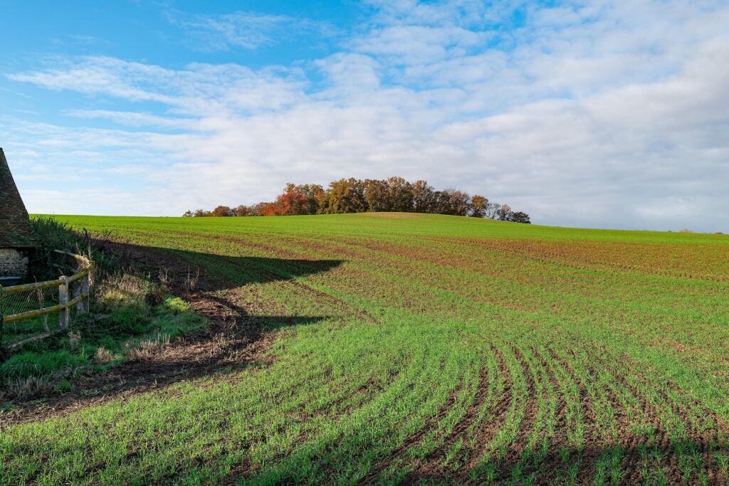 farm field image
